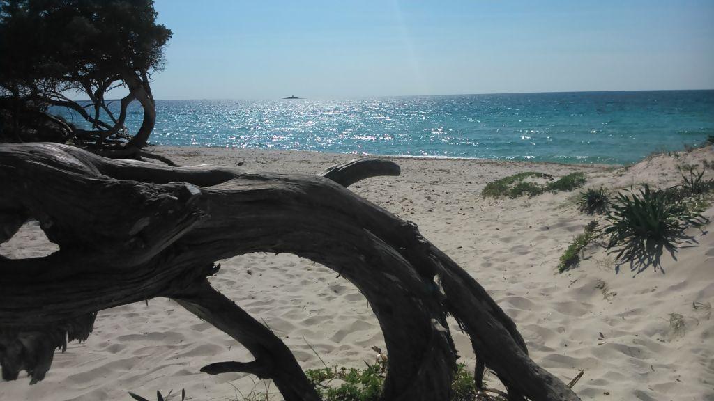 Istentales Alghero Bagian luar foto